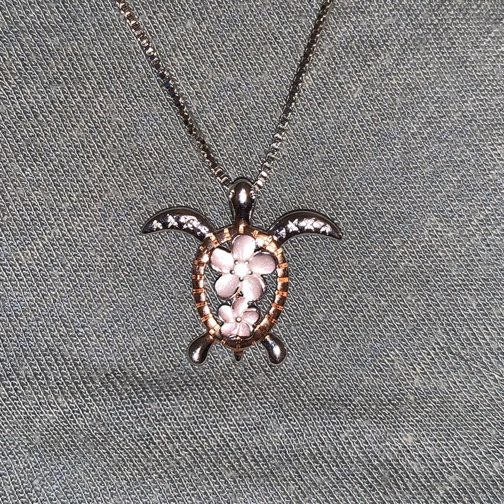 Beautiful Turtle Necklace (NWOT)
